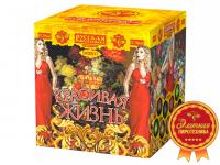 Красивая жизнь Фейерверк купить в Сосногорске | sosnogorsk.salutsklad.ru