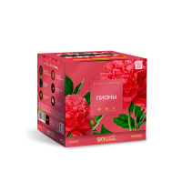 Пионы Салют купить в Сосногорске | sosnogorsk.salutsklad.ru