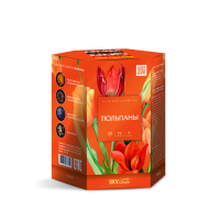 Тюльпаны Салют купить в Сосногорске | sosnogorsk.salutsklad.ru