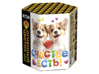 Счастье есть! Салют купить в Сосногорске | sosnogorsk.salutsklad.ru