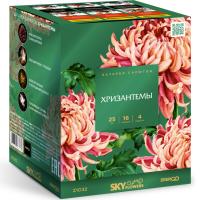 Хризантемы Фейерверк купить в Сосногорске | sosnogorsk.salutsklad.ru