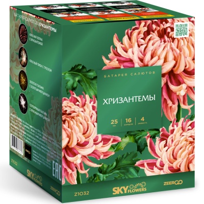 Хризантемы Фейерверк купить в Сосногорске | sosnogorsk.salutsklad.ru