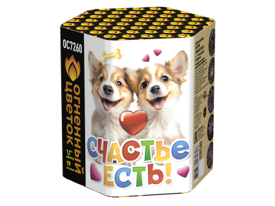 Счастье есть! Салют купить в Сосногорске | sosnogorsk.salutsklad.ru